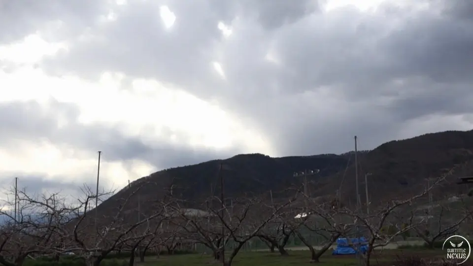DBDR-008