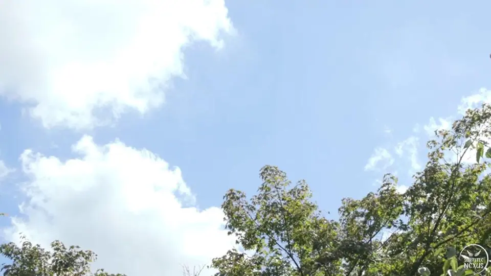 GMA-077