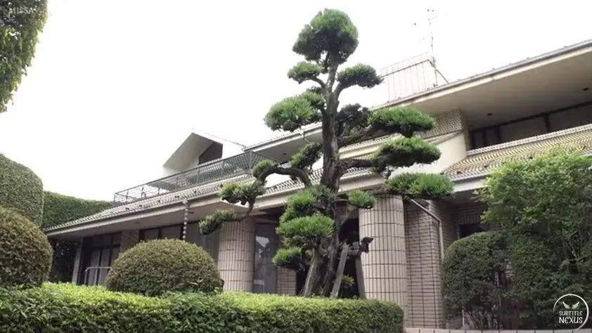 MKMP-359 Cover
