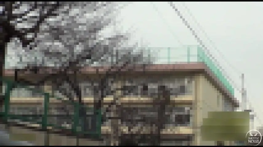 SW-360 Obal